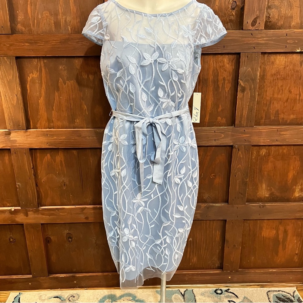 Eliza J Pale Blue Floral Embroidered Midi Dress